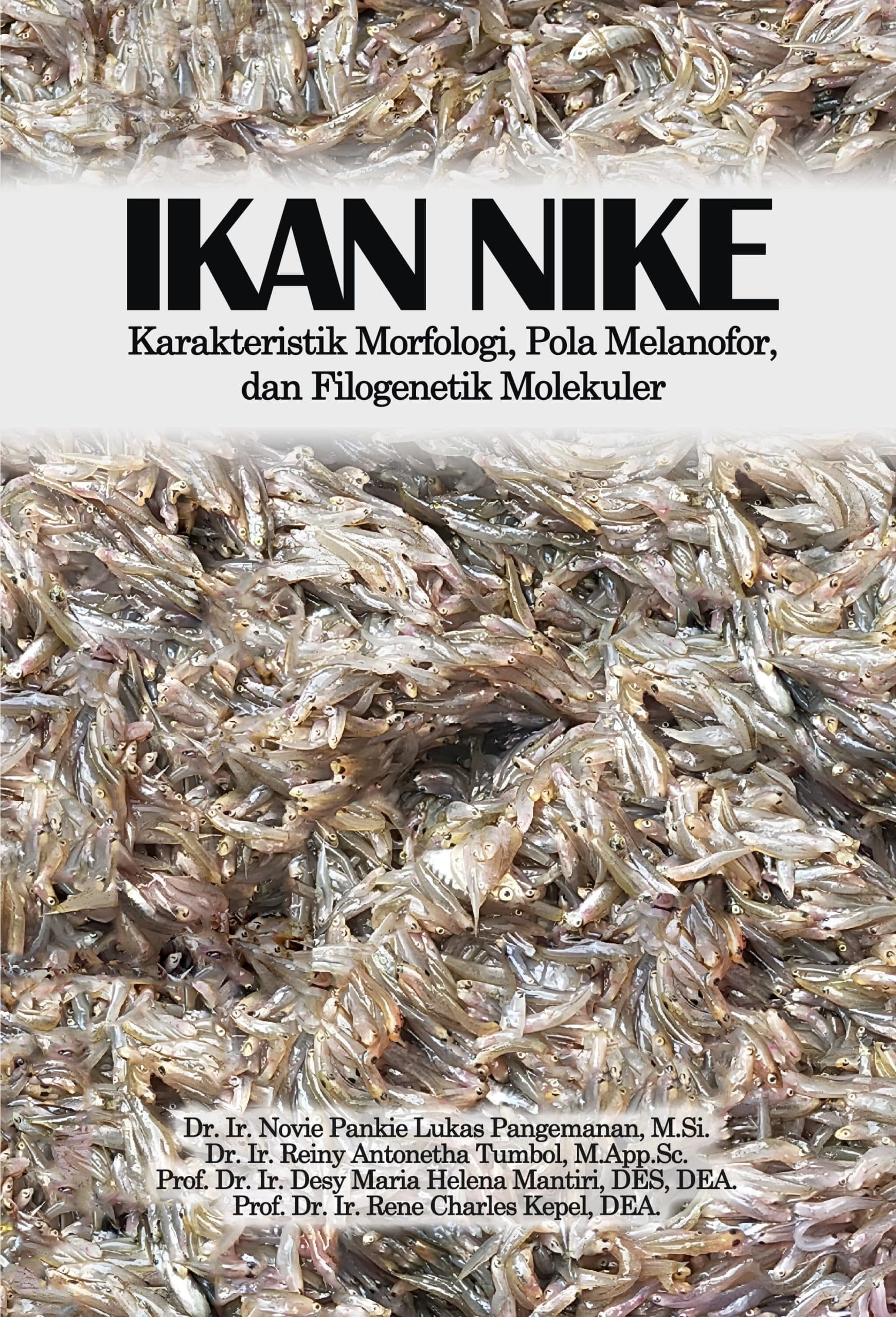 IKAN NIKE: Karakteristik Morfologi, Pola Melanofor,dan Filogenetik Molekuler